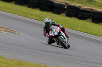 PJ-Motorsport-2019;anglesey-no-limits-trackday;anglesey-photographs;anglesey-trackday-photographs;enduro-digital-images;event-digital-images;eventdigitalimages;no-limits-trackdays;peter-wileman-photography;racing-digital-images;trac-mon;trackday-digital-images;trackday-photos;ty-croes
